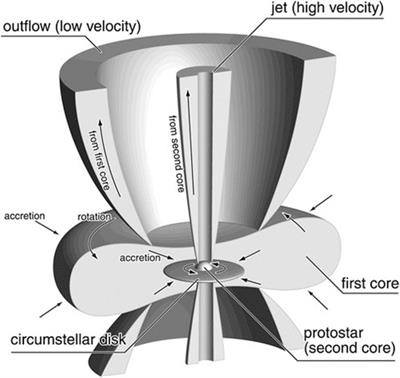 Insights into the first and second hydrostatic core stages from numerical simulations